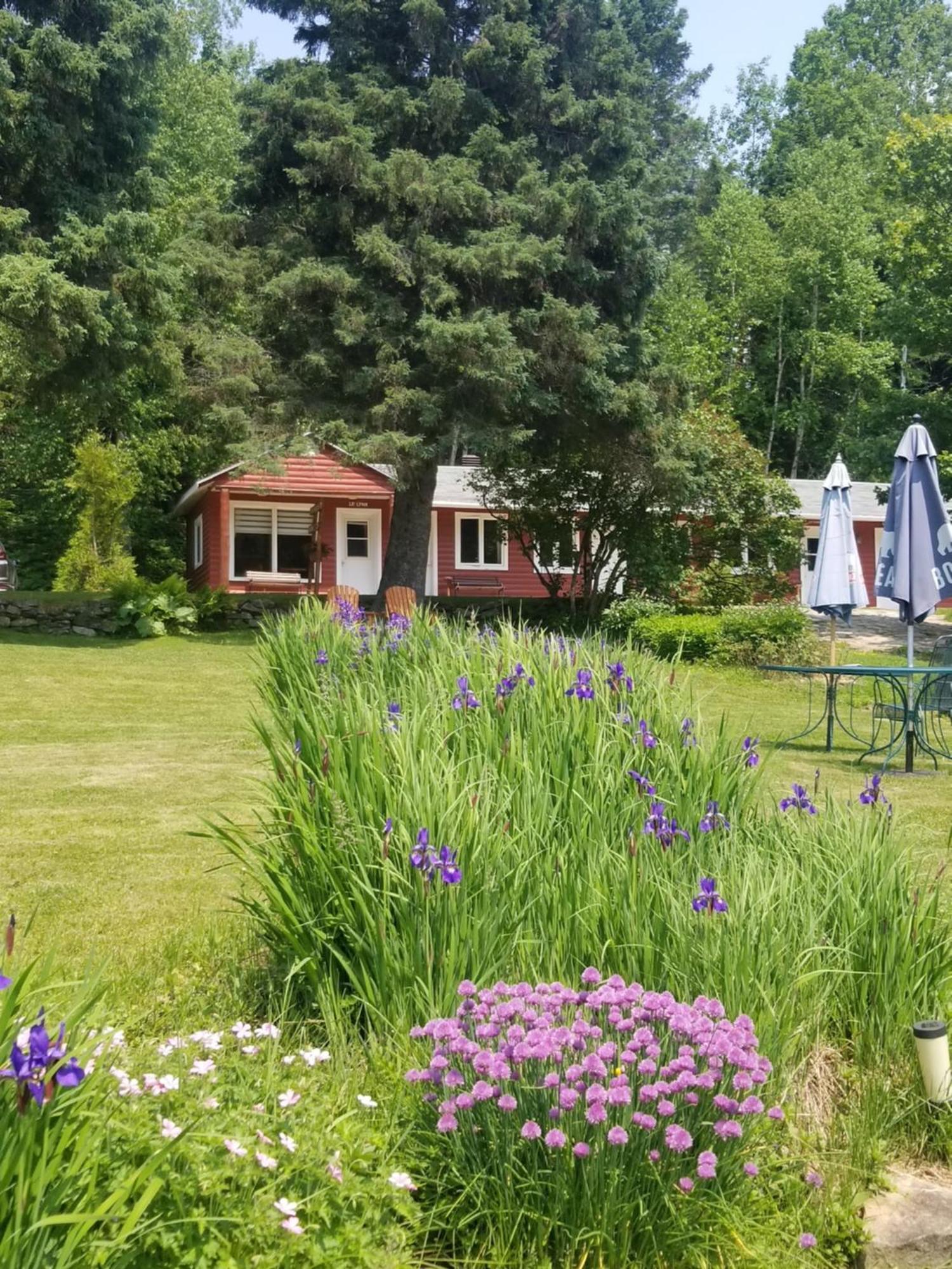 Kan-A-Mouche Pourvoirie Auberge Et Chalets Saint-Michel Cameră foto